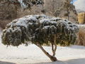 30-l-DSC05913.jpg