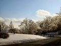 30-l-DSC05923.jpg