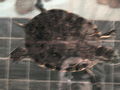 08-A-DSC04734.JPG