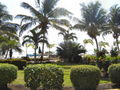08-A-DSC04748.JPG