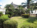 08-S-IMG_1880.JPG