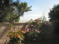 08-S-IMG_1882.JPG