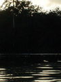 DSC02415.JPG