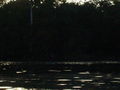DSC02416.JPG