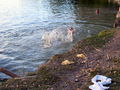 image0906.jpg