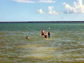 100_0157.jpg