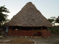 DSC02435.JPG