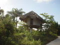 DSC02436.JPG