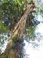 G-3-FH000030.jpg