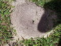 G-3-FH000037.jpg