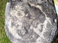 G-3-FH000038.jpg