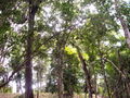 G-3-FH000046.jpg