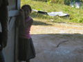 JOY_0729.jpg
