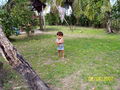 t-100_2560.jpg