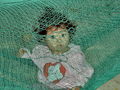 P1000714.jpg