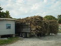 DSC02327.JPG