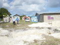 DSC02354.JPG