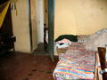 JOY_0269.JPG