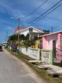 s-100_0196.JPG