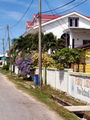 s-100_0197.JPG