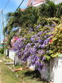 s-100_0198.JPG