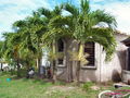 c-100_0817.jpg