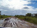 c-100_0819.jpg