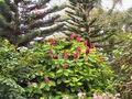 c-100_0835.jpg