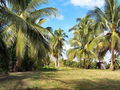 c-100_0860.jpg
