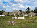 c-100_0861.jpg