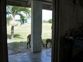 c-100_0865.jpg
