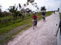 h-MB063.jpg