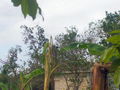 100_4231.jpg