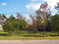 100_4240.jpg