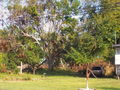 100_4241.jpg