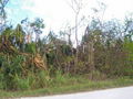 100_4243.jpg