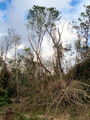 100_4250.jpg