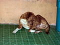 e-img_0130.jpg