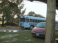 e-img_0132.jpg