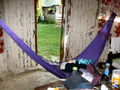 e-img_0142.jpg