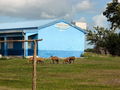 e-img_0162.jpg