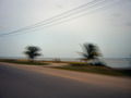 A-DSC04337.JPG