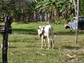 A-DSC04343.JPG