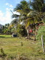 A-DSC04345.JPG