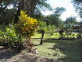 A-DSC04462.JPG