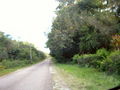 A-DSC04668.JPG