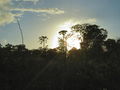 A-DSC04670.JPG