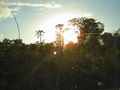 A-DSC04671.JPG