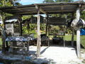 A-DSC04805.JPG