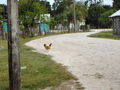 A-DSC04821.JPG